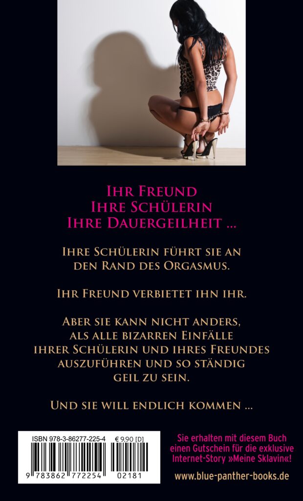 Lass mich kommen! Erotischer Roman – Bild 2
