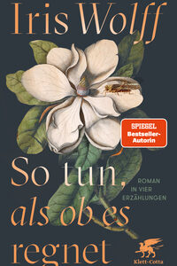 So tun, als ob es regnet