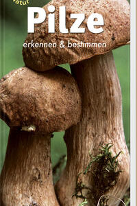 Pilze erkennen und bestimmen