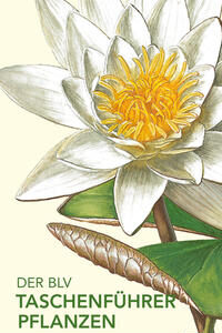 Der BLV Taschenführer Pflanzen